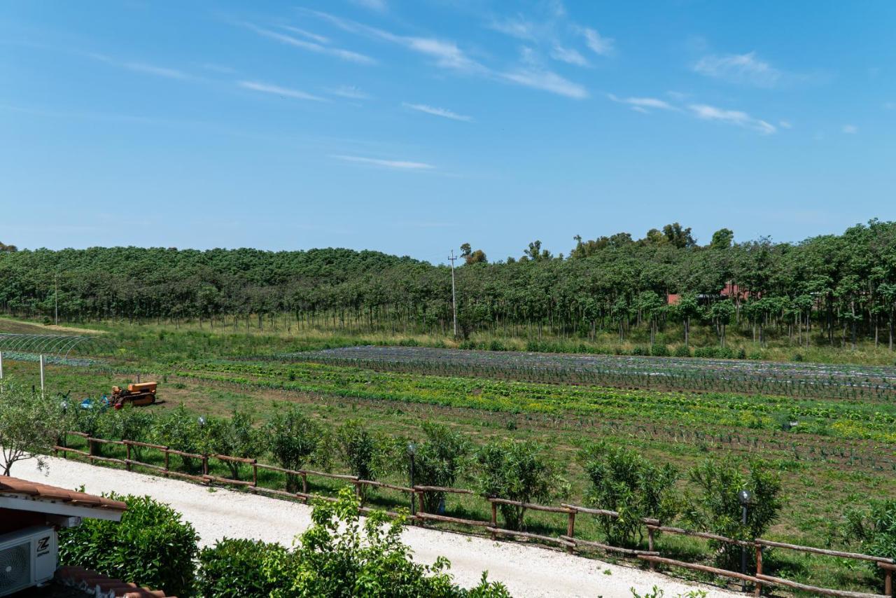 Agriturismo Il Casale Понте-Галерия Экстерьер фото